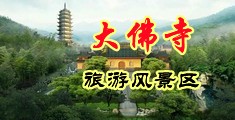 羞羞搞鸡免费视频平方中国浙江-新昌大佛寺旅游风景区